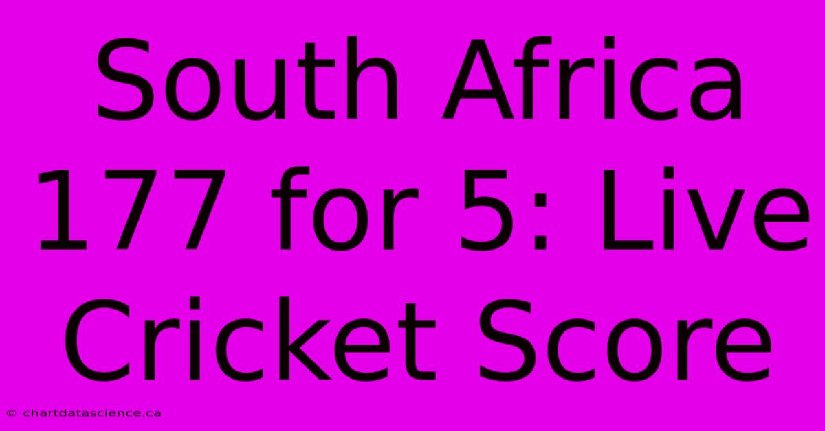 South Africa 177 For 5: Live Cricket Score