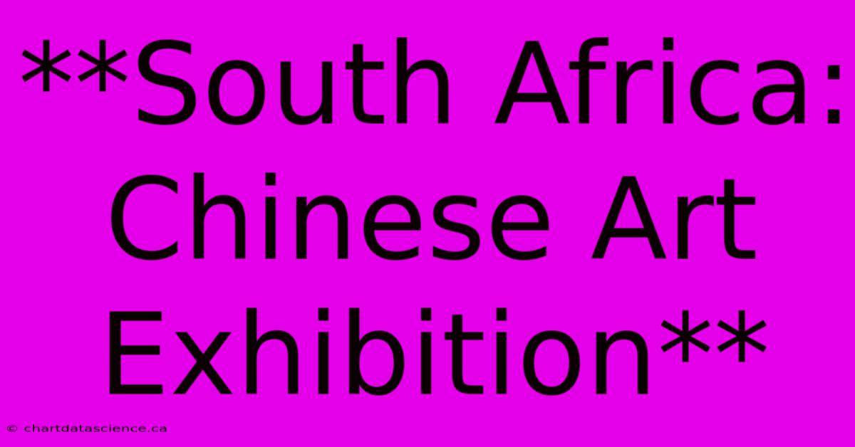 **South Africa: Chinese Art Exhibition**