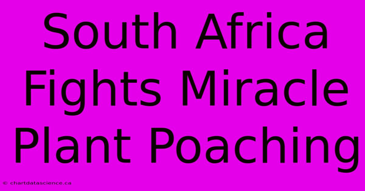 South Africa Fights Miracle Plant Poaching