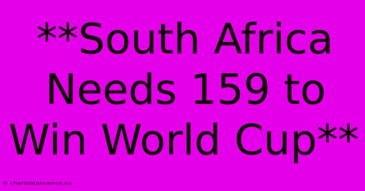 **South Africa Needs 159 To Win World Cup**