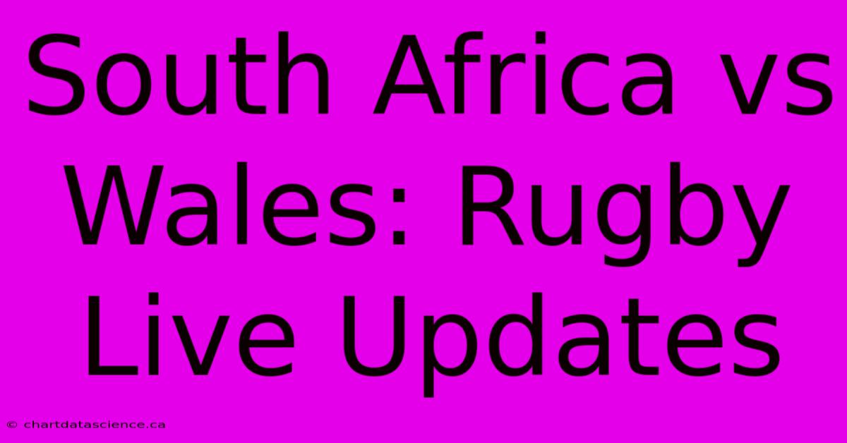 South Africa Vs Wales: Rugby Live Updates