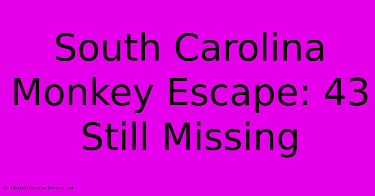 South Carolina Monkey Escape: 43 Still Missing