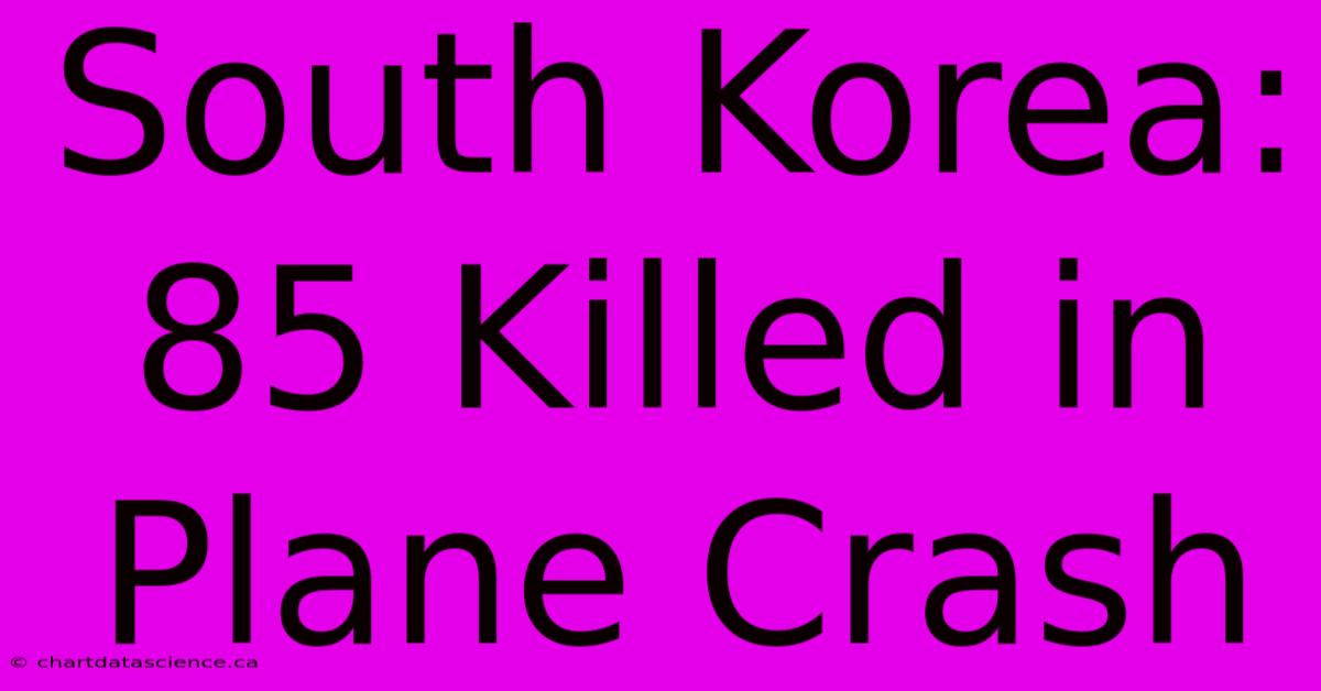 South Korea: 85 Killed In Plane Crash