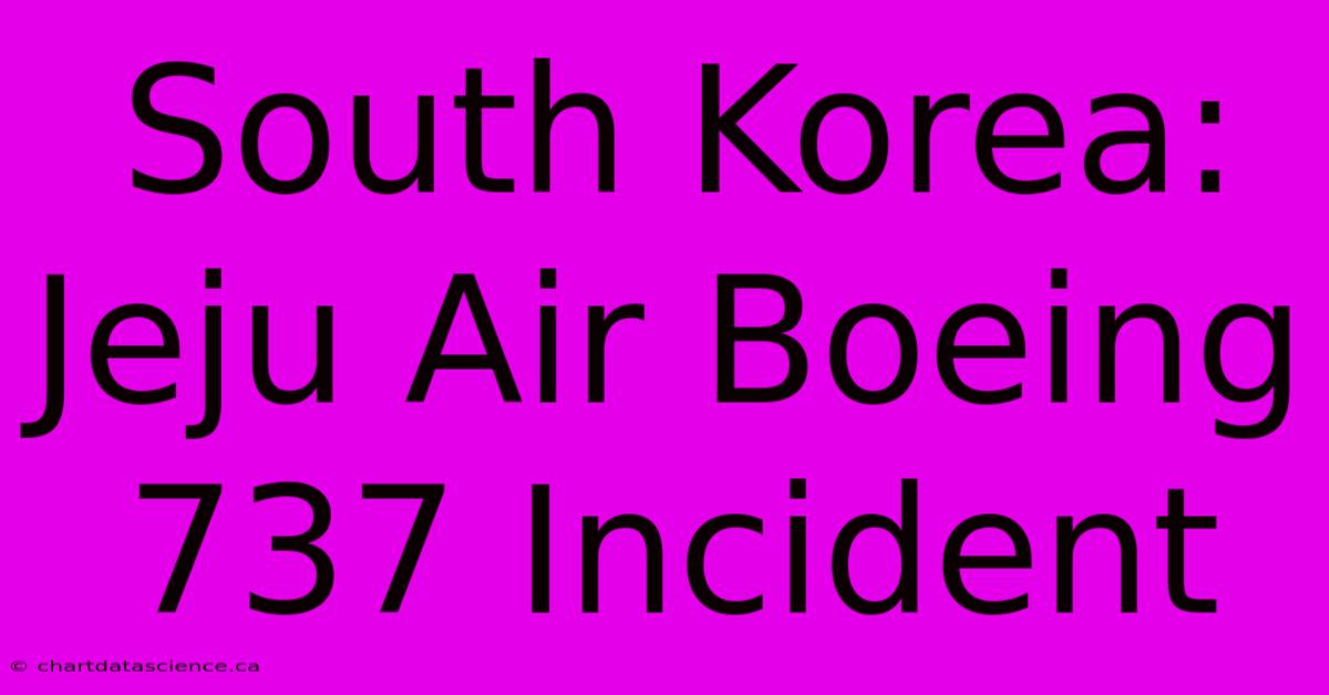 South Korea: Jeju Air Boeing 737 Incident