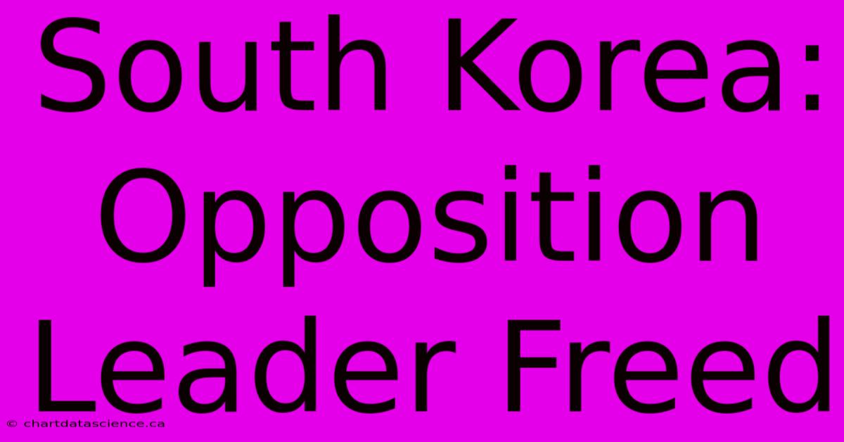 South Korea: Opposition Leader Freed