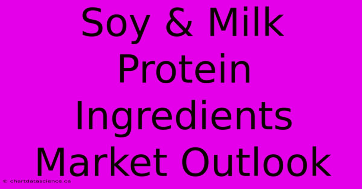 Soy & Milk Protein Ingredients Market Outlook