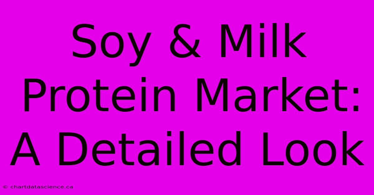 Soy & Milk Protein Market: A Detailed Look 