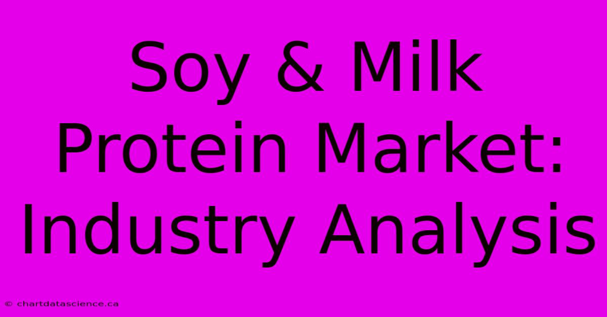 Soy & Milk Protein Market: Industry Analysis