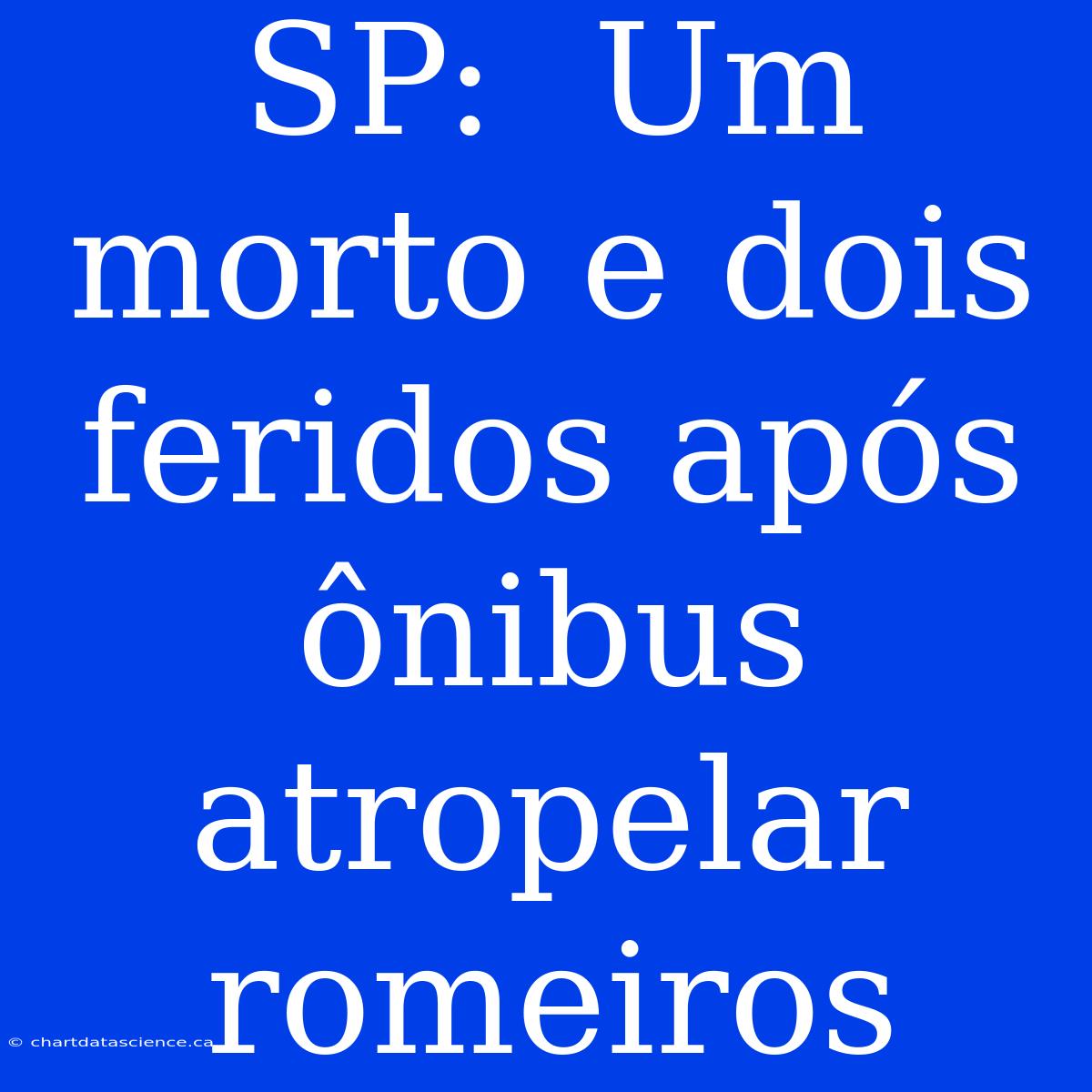 SP:  Um Morto E Dois Feridos Após Ônibus Atropelar Romeiros