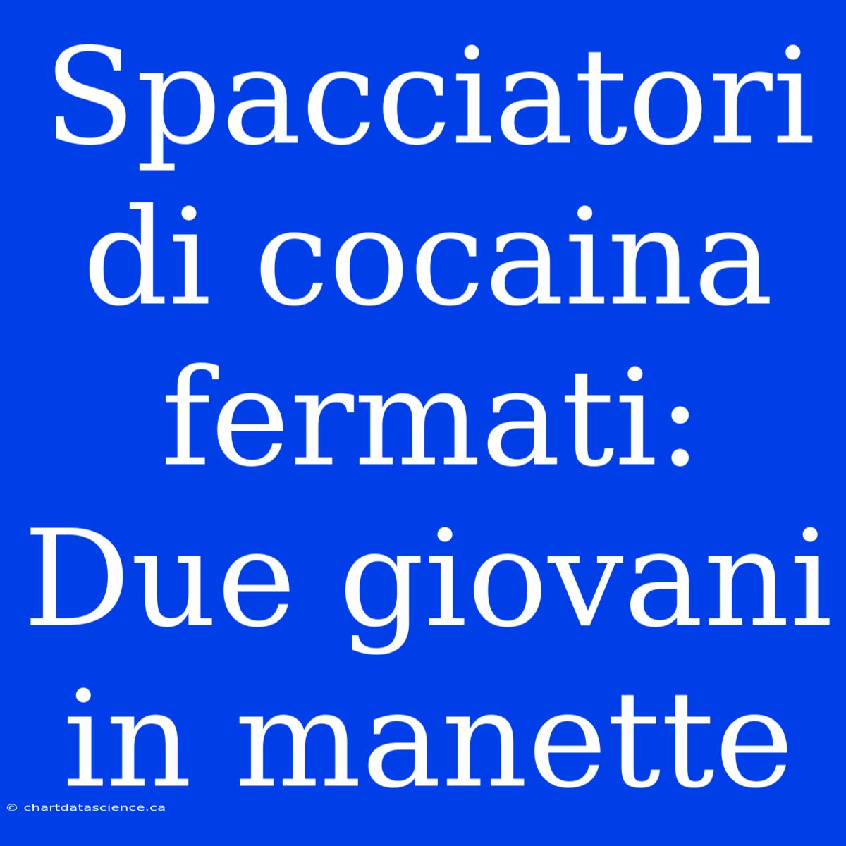 Spacciatori Di Cocaina Fermati: Due Giovani In Manette