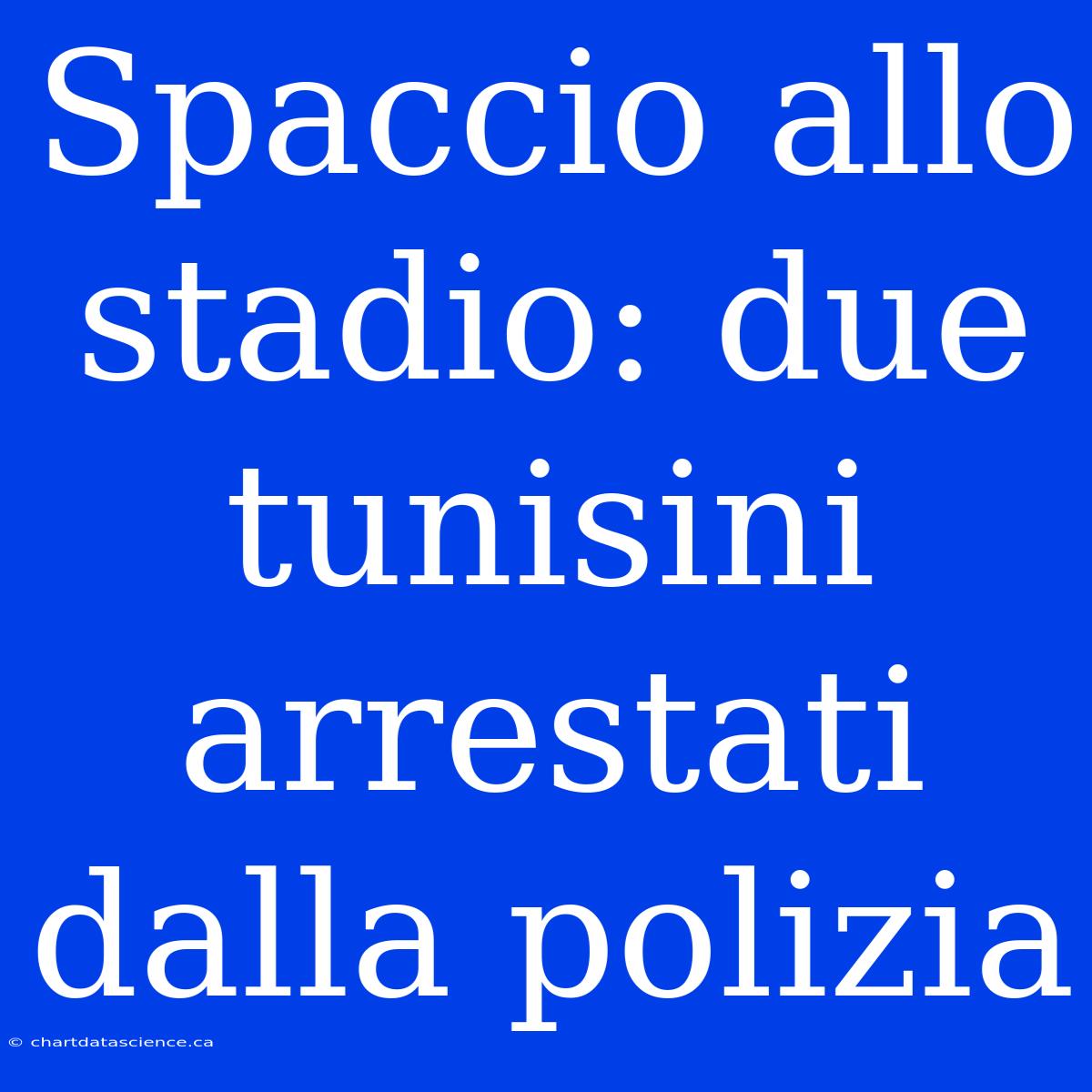 Spaccio Allo Stadio: Due Tunisini Arrestati Dalla Polizia