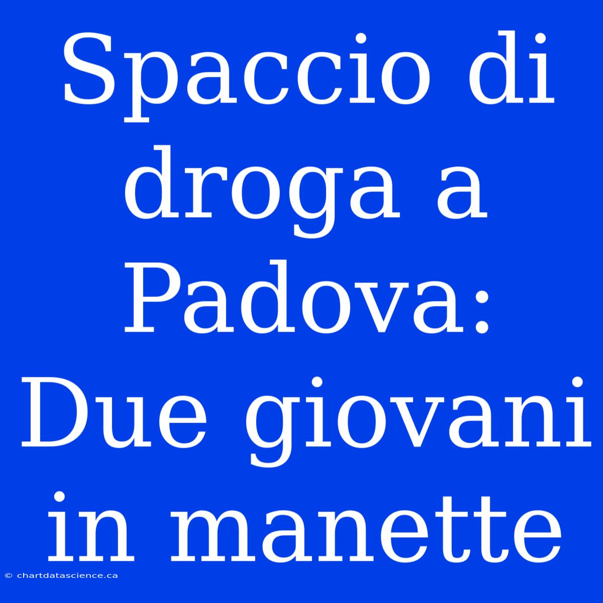 Spaccio Di Droga A Padova: Due Giovani In Manette