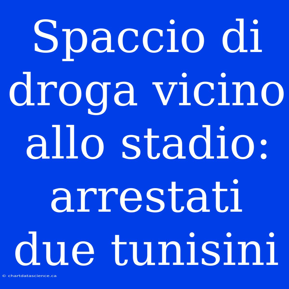 Spaccio Di Droga Vicino Allo Stadio: Arrestati Due Tunisini