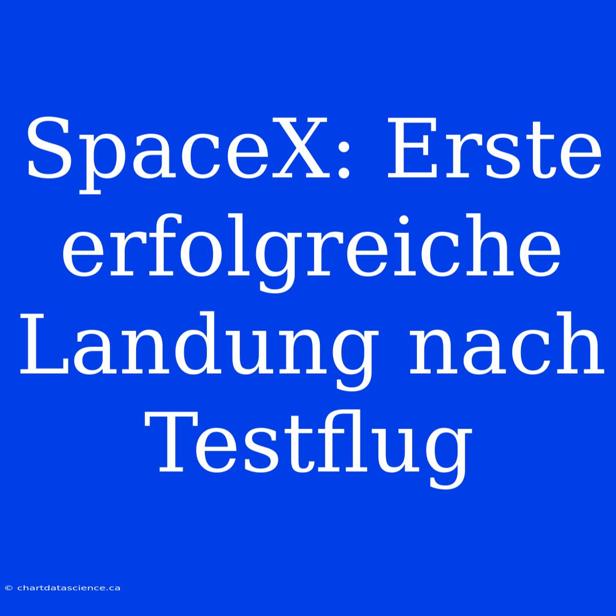 SpaceX: Erste Erfolgreiche Landung Nach Testflug