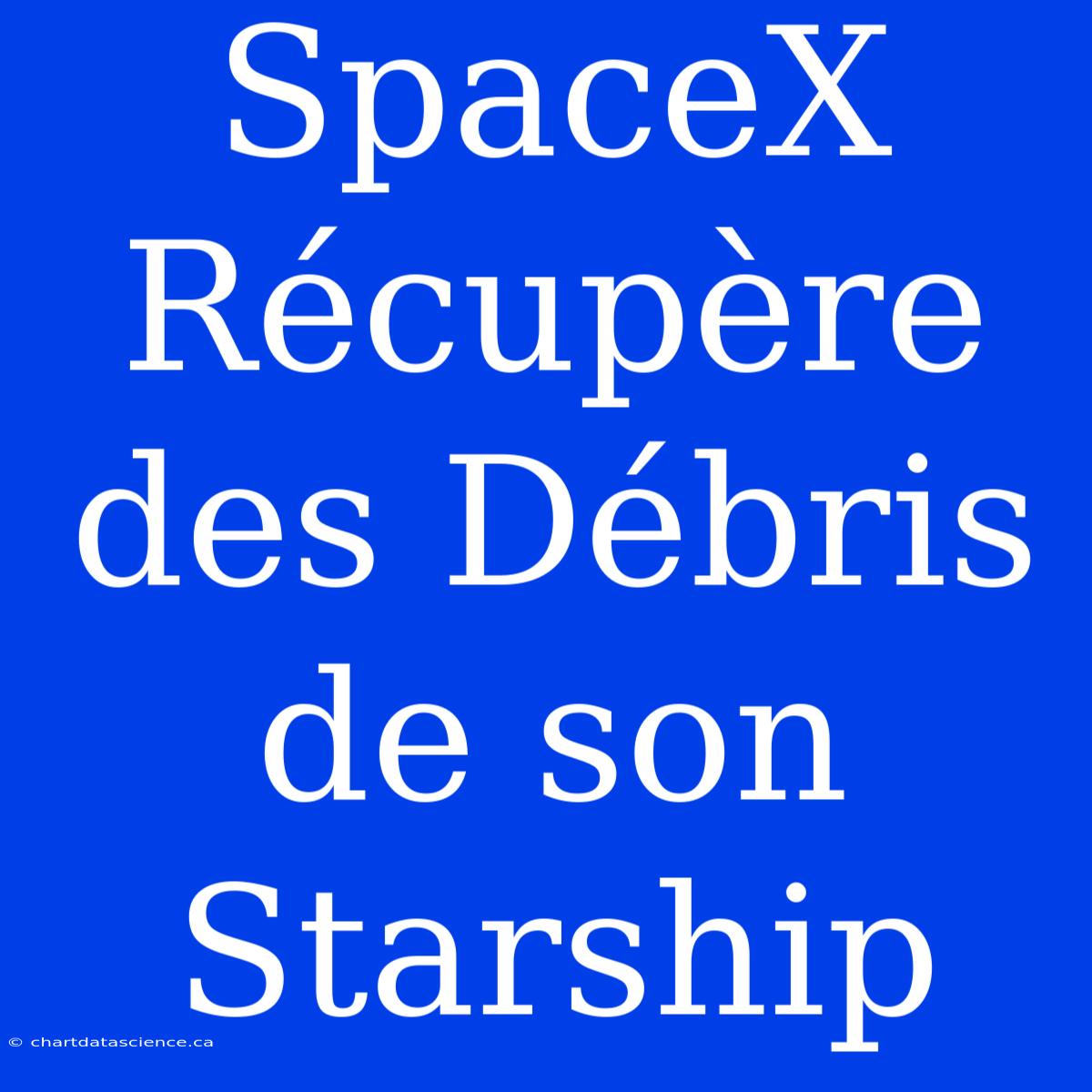 SpaceX Récupère Des Débris De Son Starship