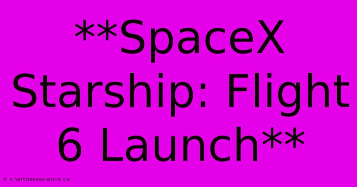 **SpaceX Starship: Flight 6 Launch**