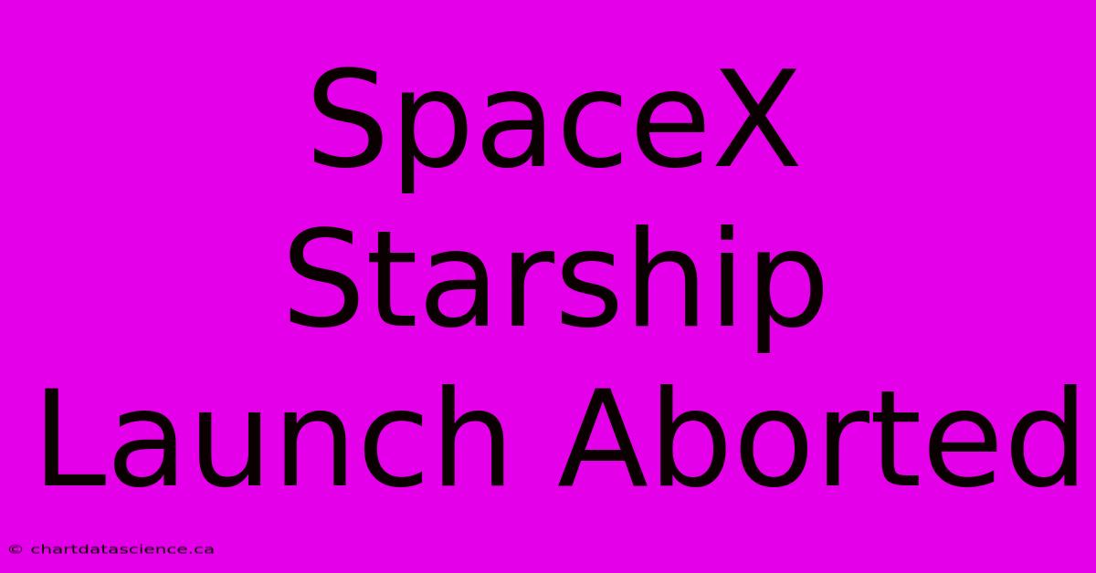 SpaceX Starship Launch Aborted