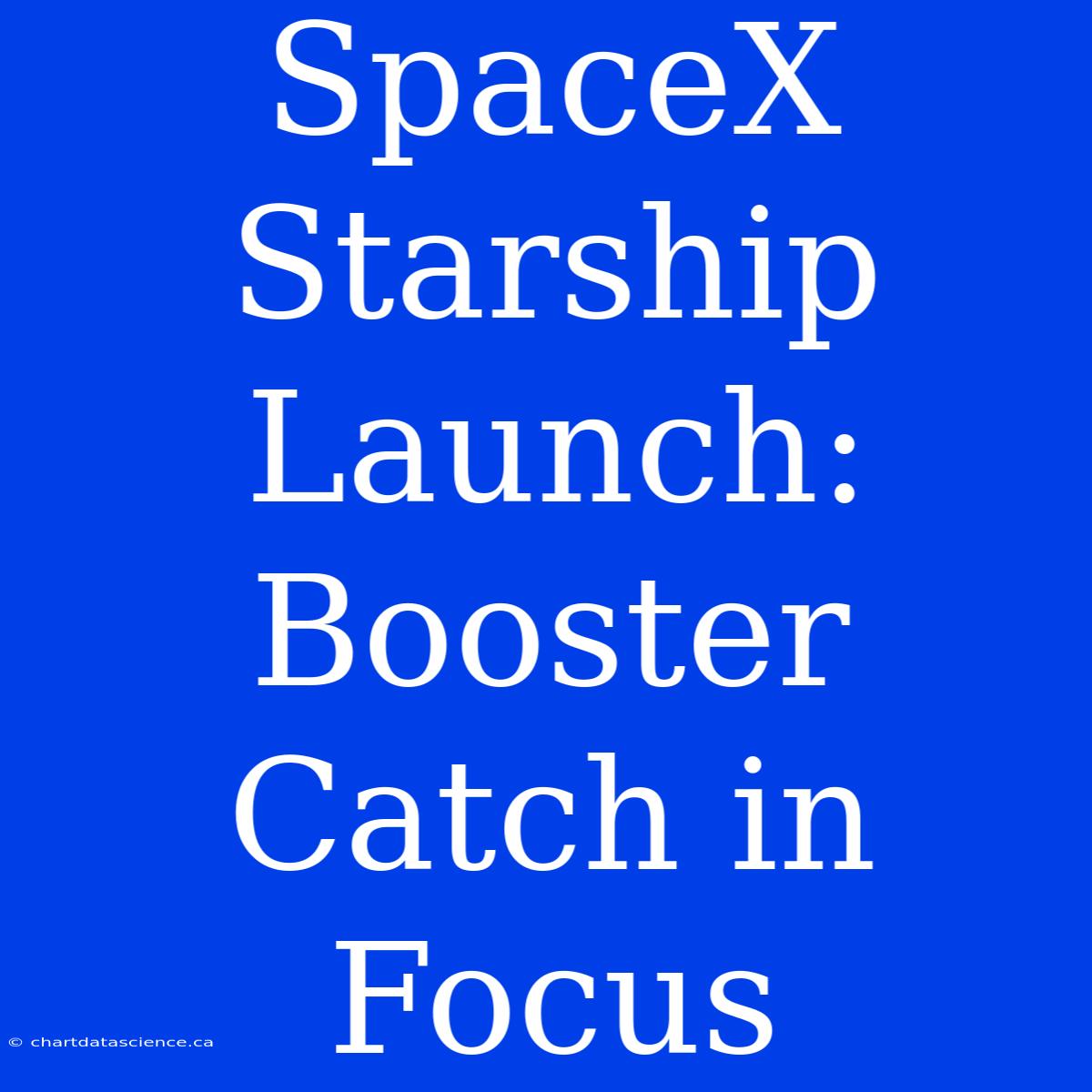 SpaceX Starship Launch: Booster Catch In Focus