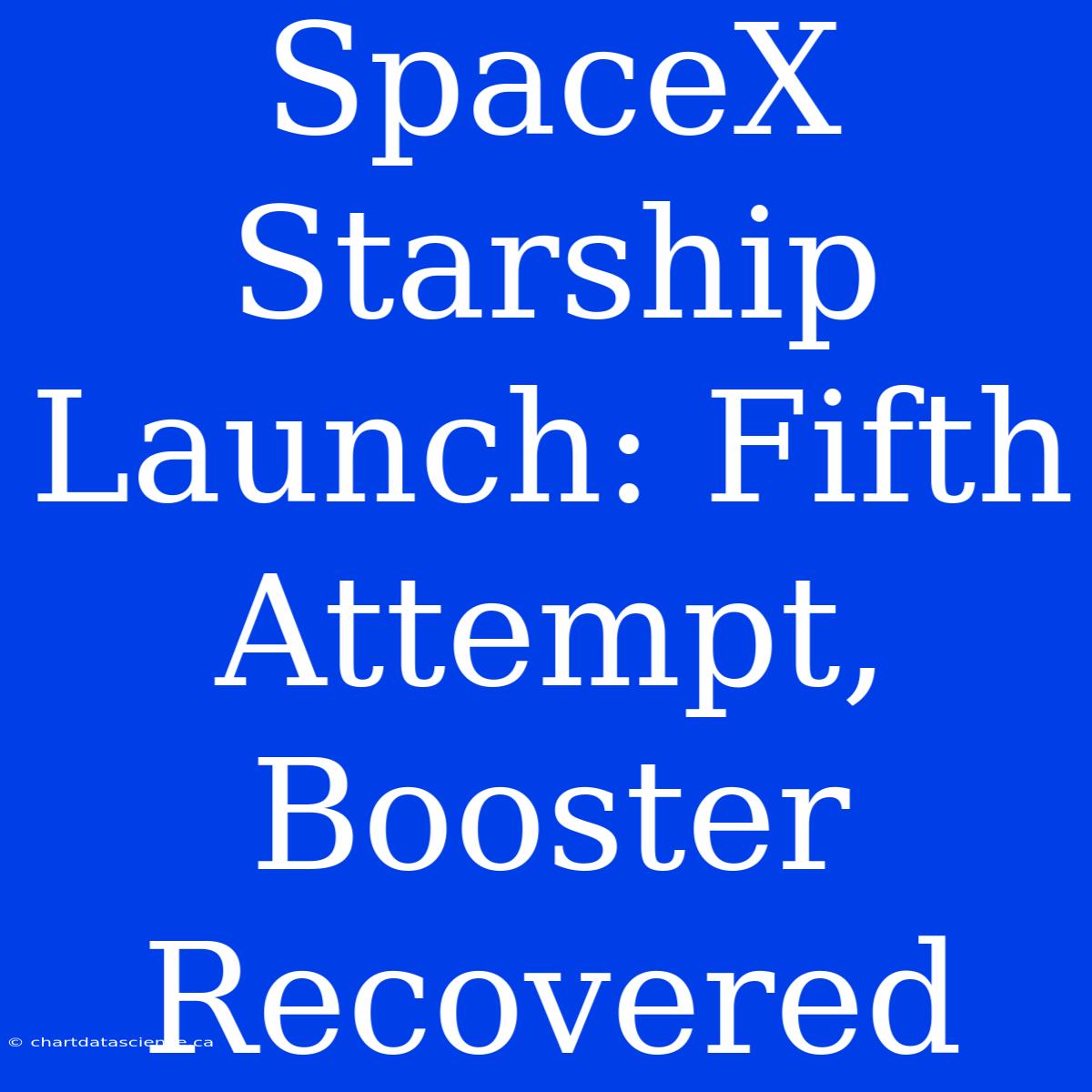 SpaceX Starship Launch: Fifth Attempt, Booster Recovered