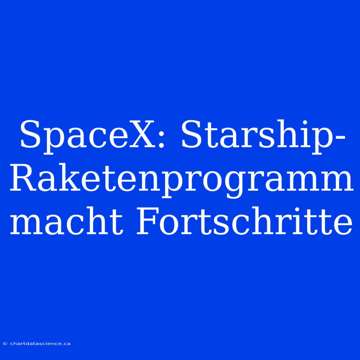 SpaceX: Starship-Raketenprogramm Macht Fortschritte