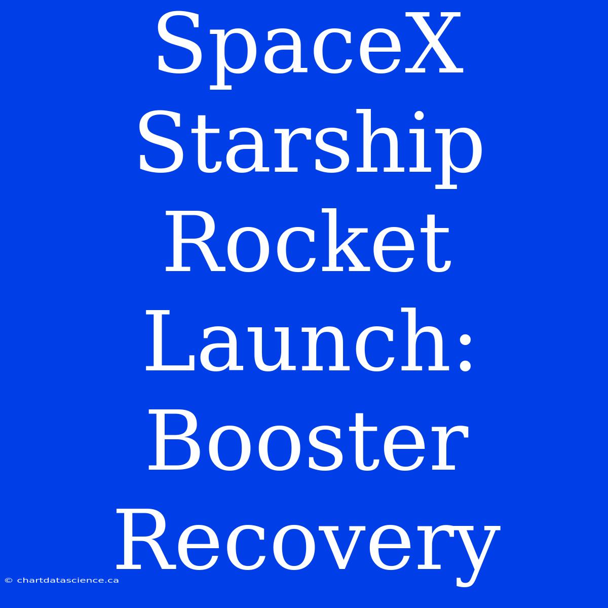 SpaceX Starship Rocket Launch: Booster Recovery