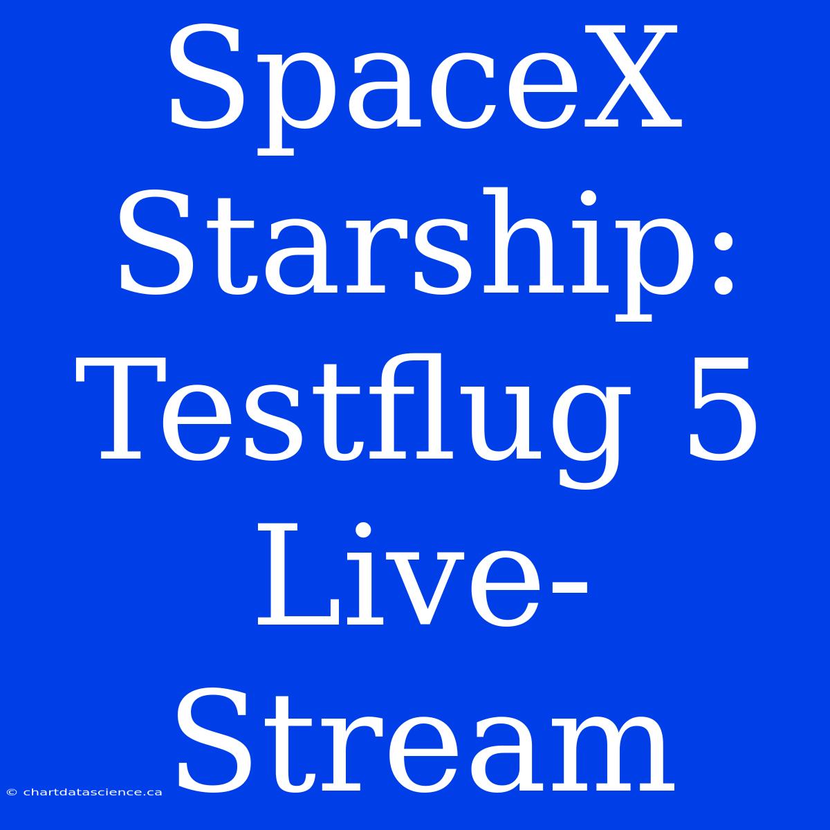 SpaceX Starship: Testflug 5 Live-Stream