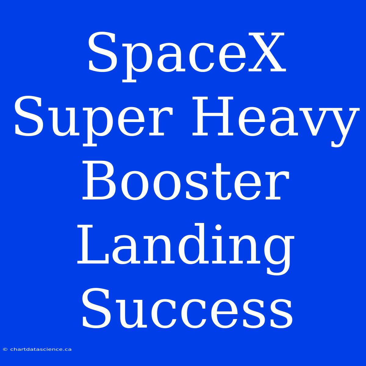 SpaceX Super Heavy Booster Landing Success