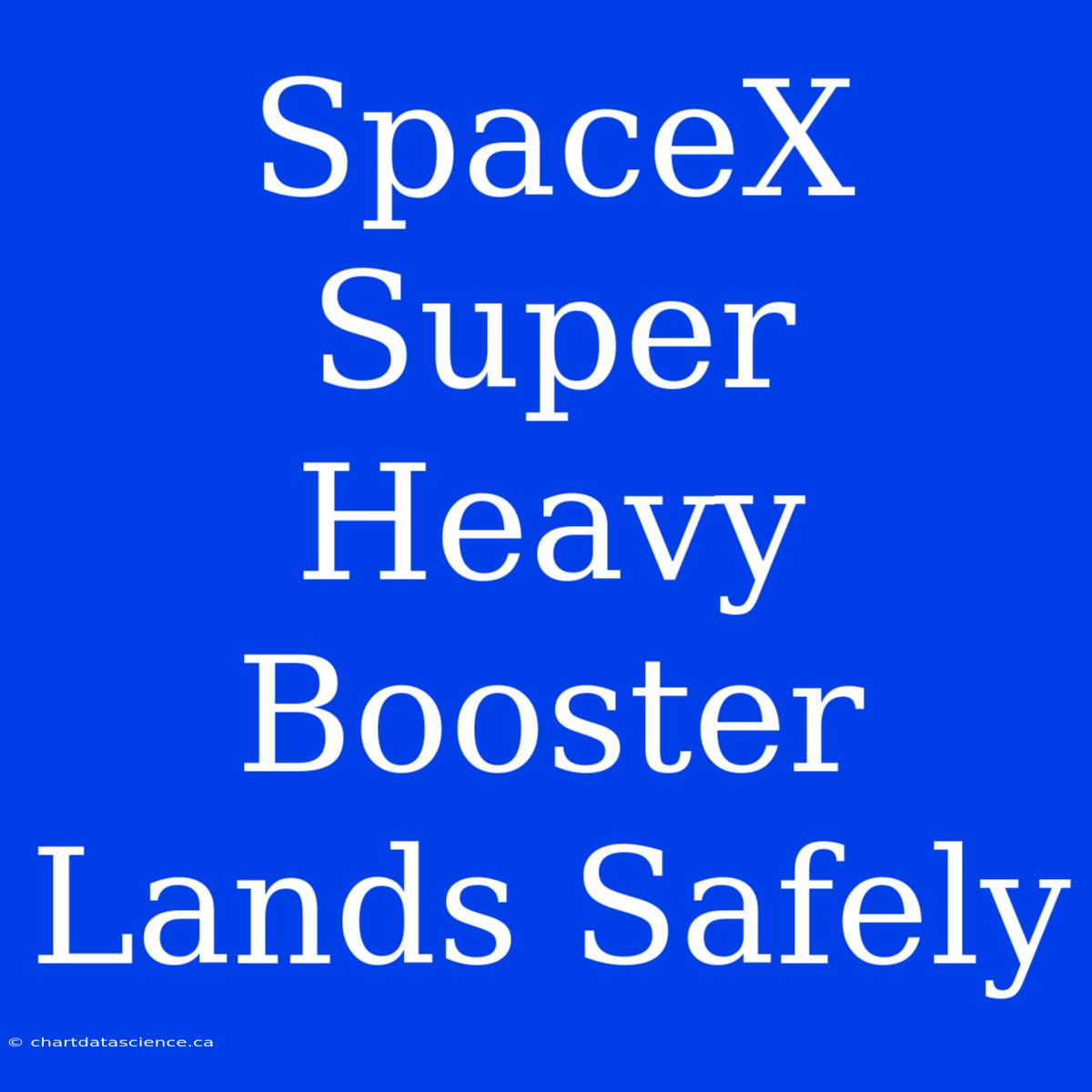 SpaceX Super Heavy Booster Lands Safely