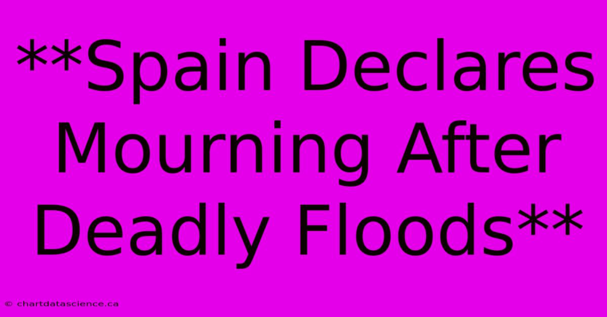 **Spain Declares Mourning After Deadly Floods**