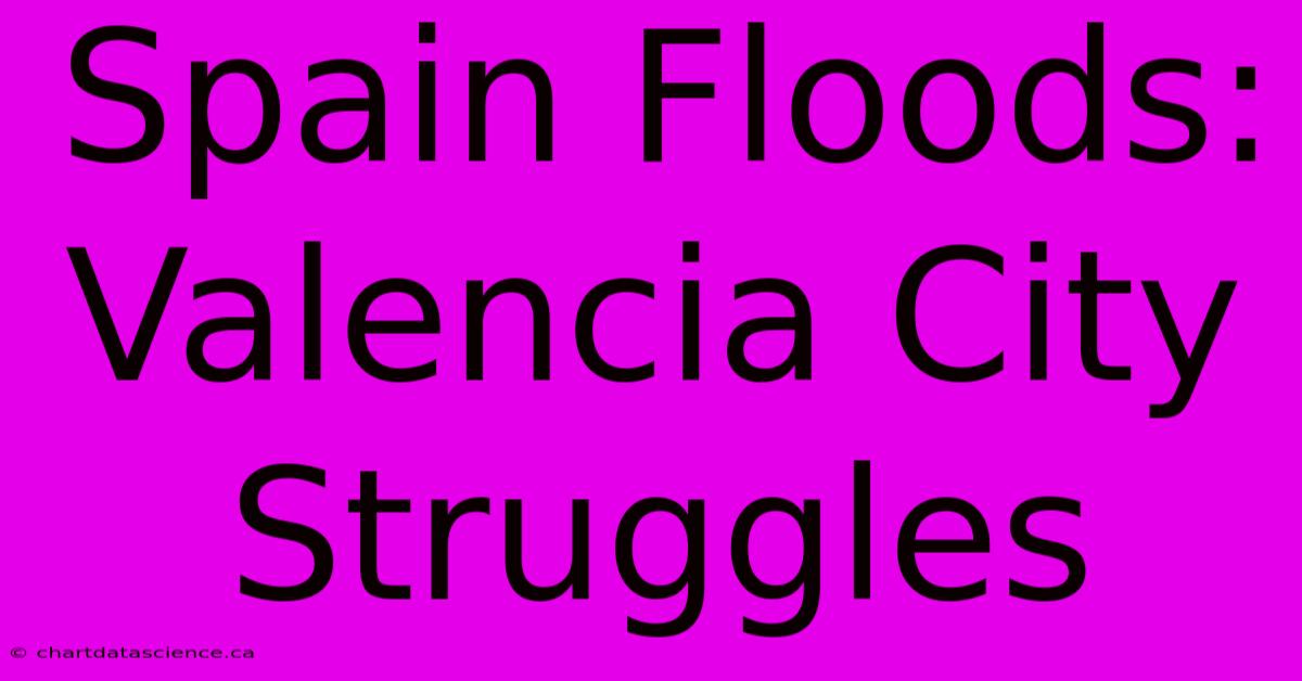 Spain Floods: Valencia City Struggles