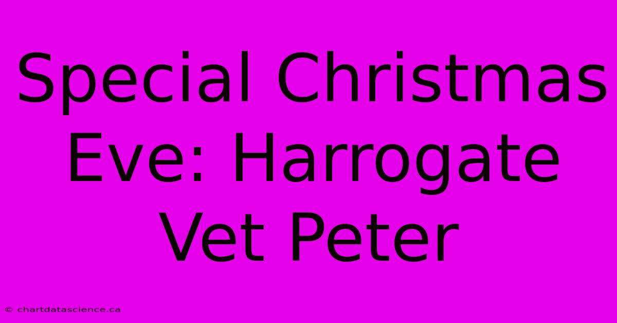 Special Christmas Eve: Harrogate Vet Peter