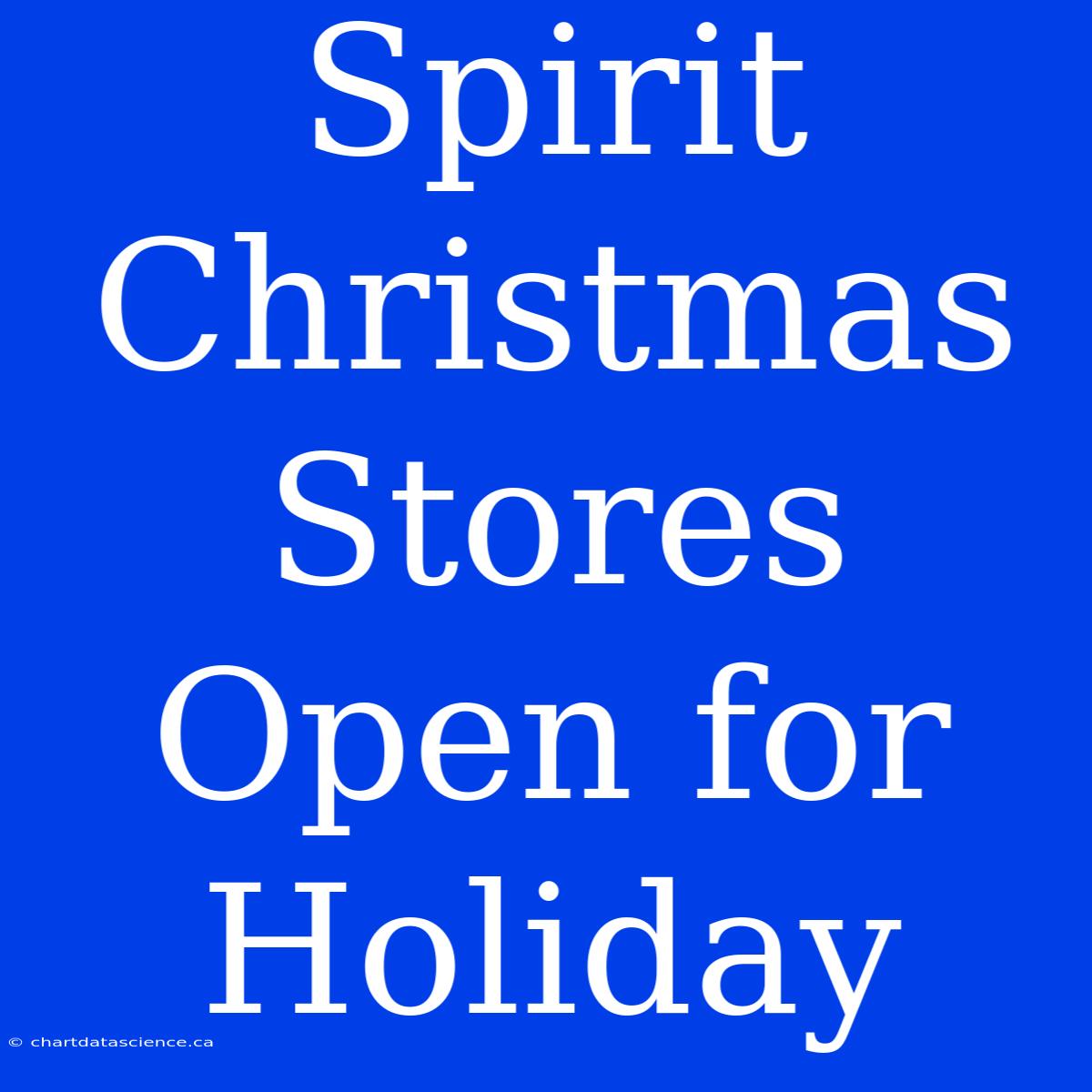 Spirit Christmas Stores Open For Holiday