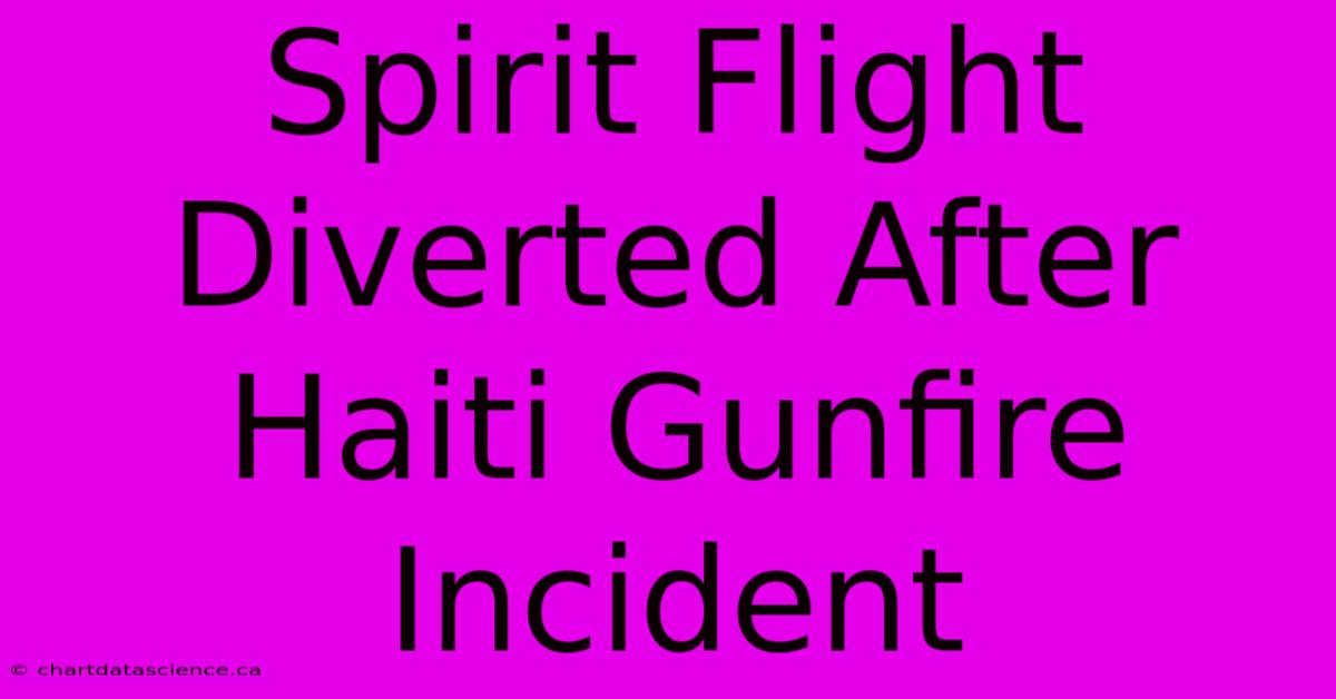 Spirit Flight Diverted After Haiti Gunfire Incident