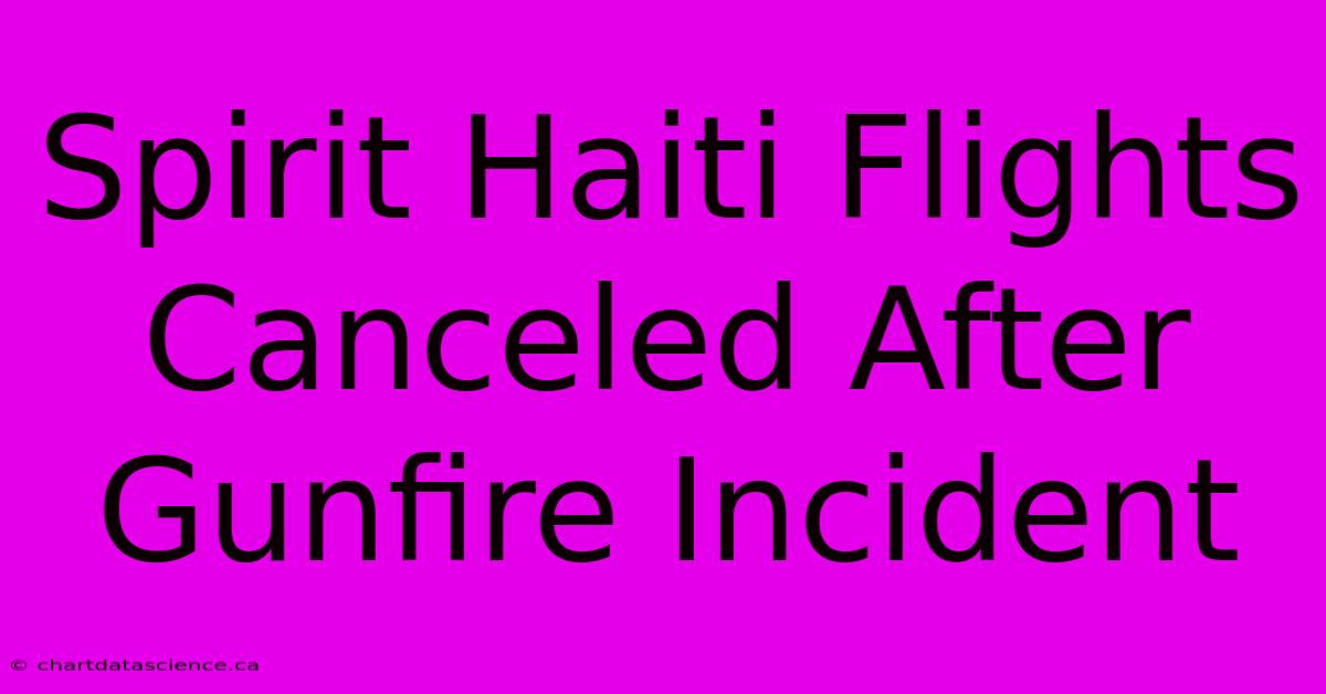 Spirit Haiti Flights Canceled After Gunfire Incident