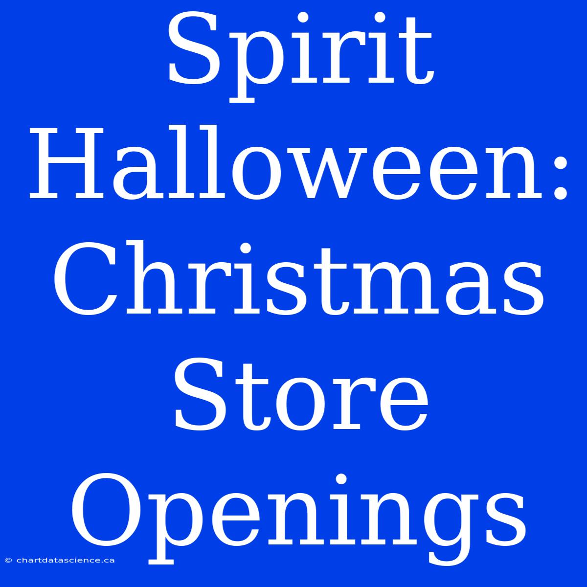 Spirit Halloween: Christmas Store Openings