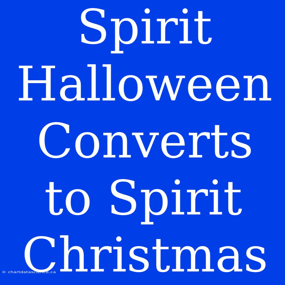 Spirit Halloween Converts To Spirit Christmas