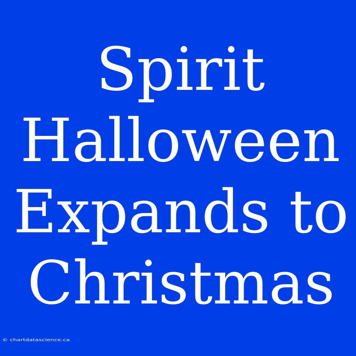 Spirit Halloween Expands To Christmas