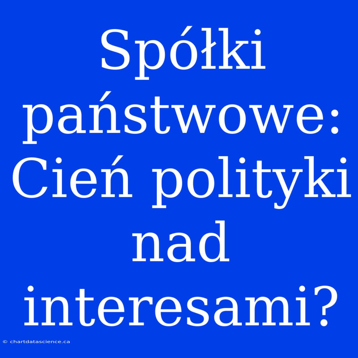 Spółki Państwowe: Cień Polityki Nad Interesami?