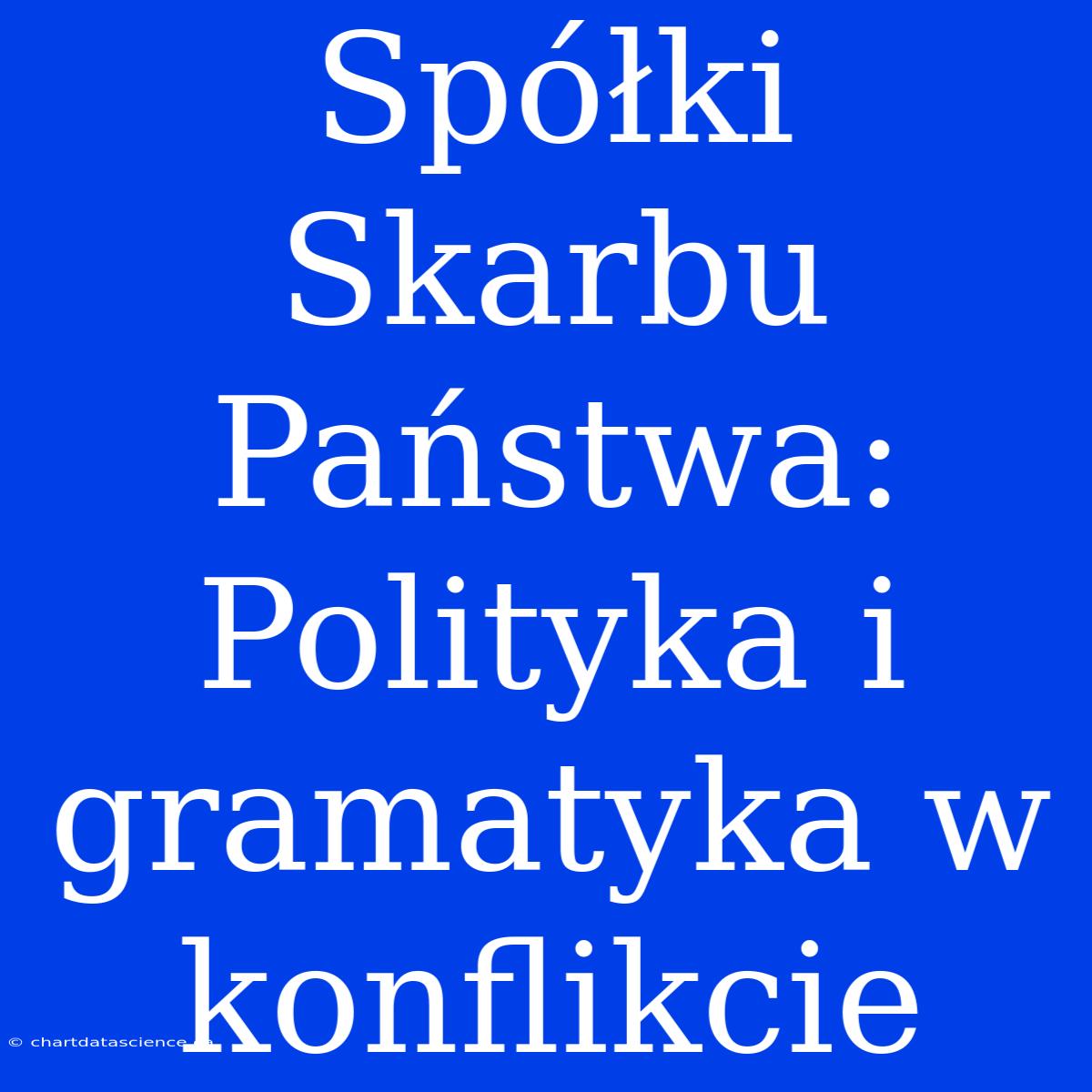 Spółki Skarbu Państwa: Polityka I Gramatyka W Konflikcie