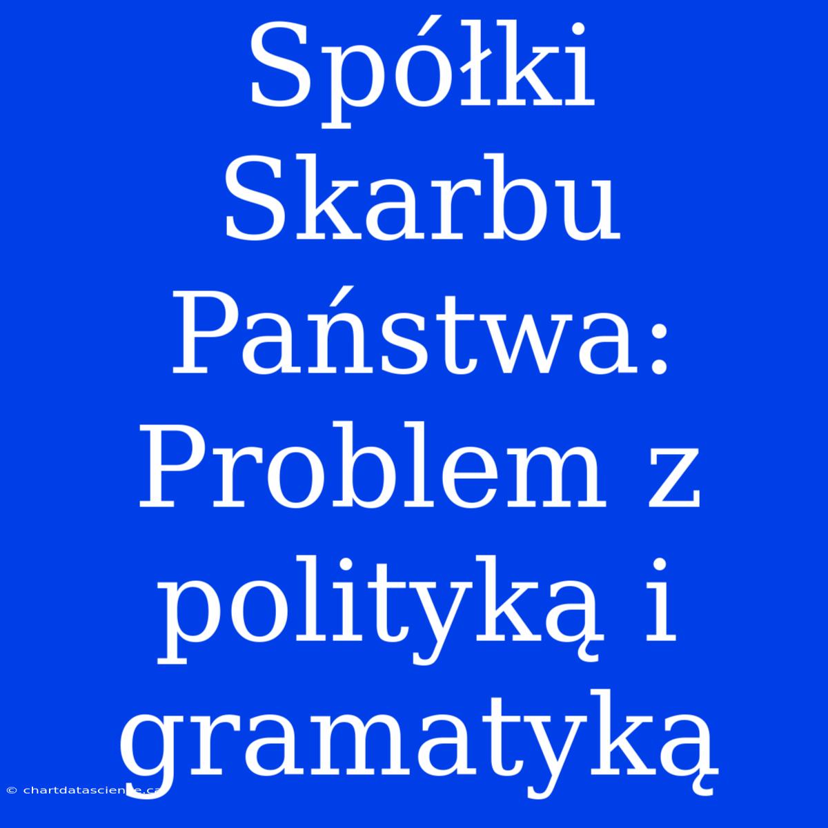 Spółki Skarbu Państwa: Problem Z Polityką I Gramatyką