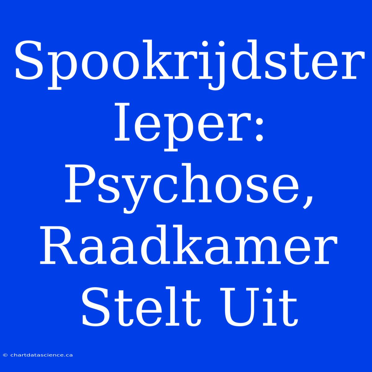 Spookrijdster Ieper: Psychose, Raadkamer Stelt Uit