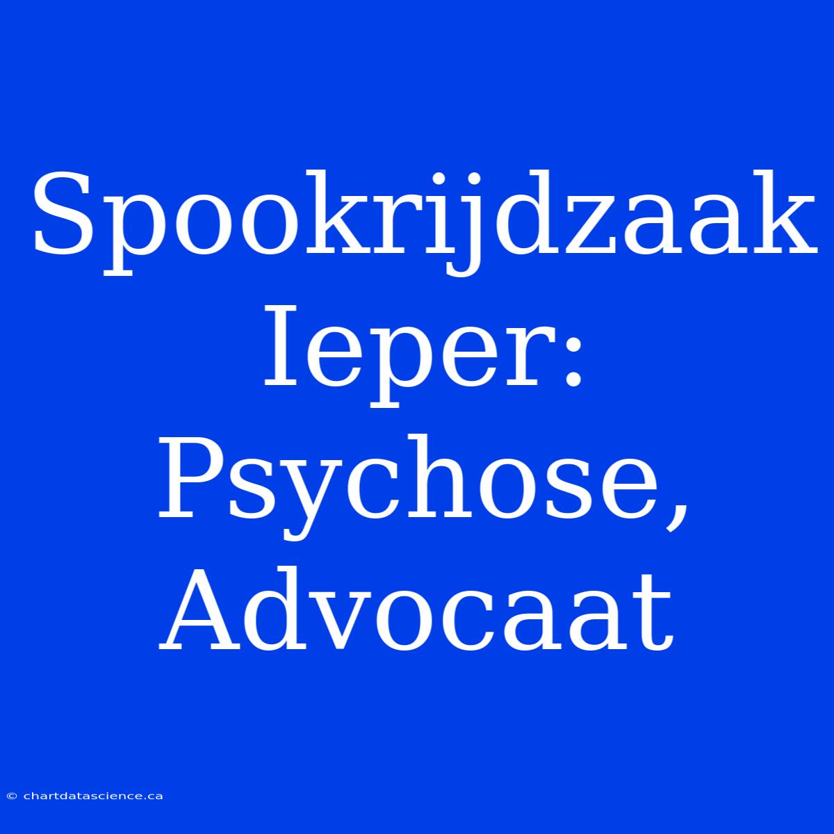 Spookrijdzaak Ieper: Psychose, Advocaat