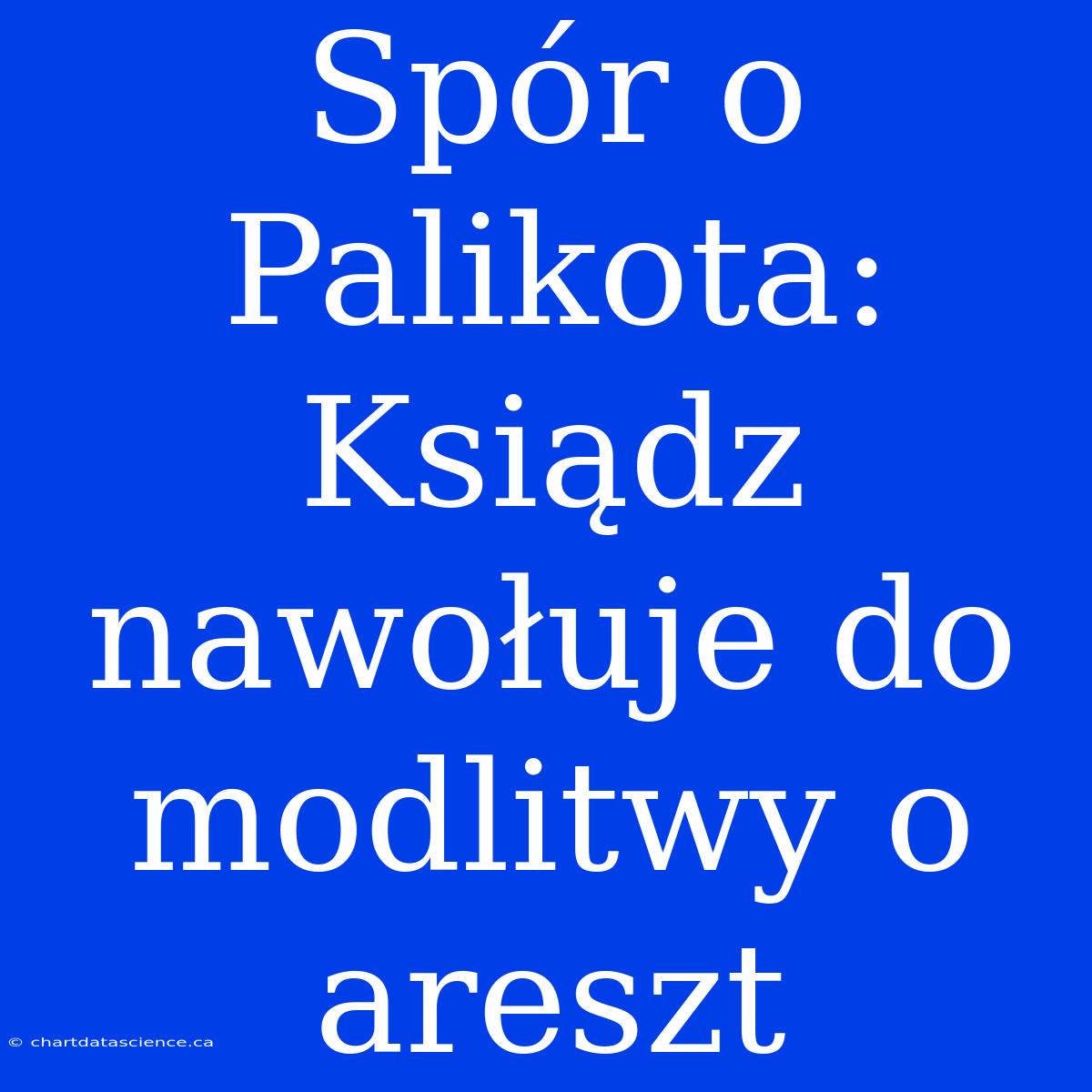 Spór O Palikota: Ksiądz Nawołuje Do Modlitwy O Areszt