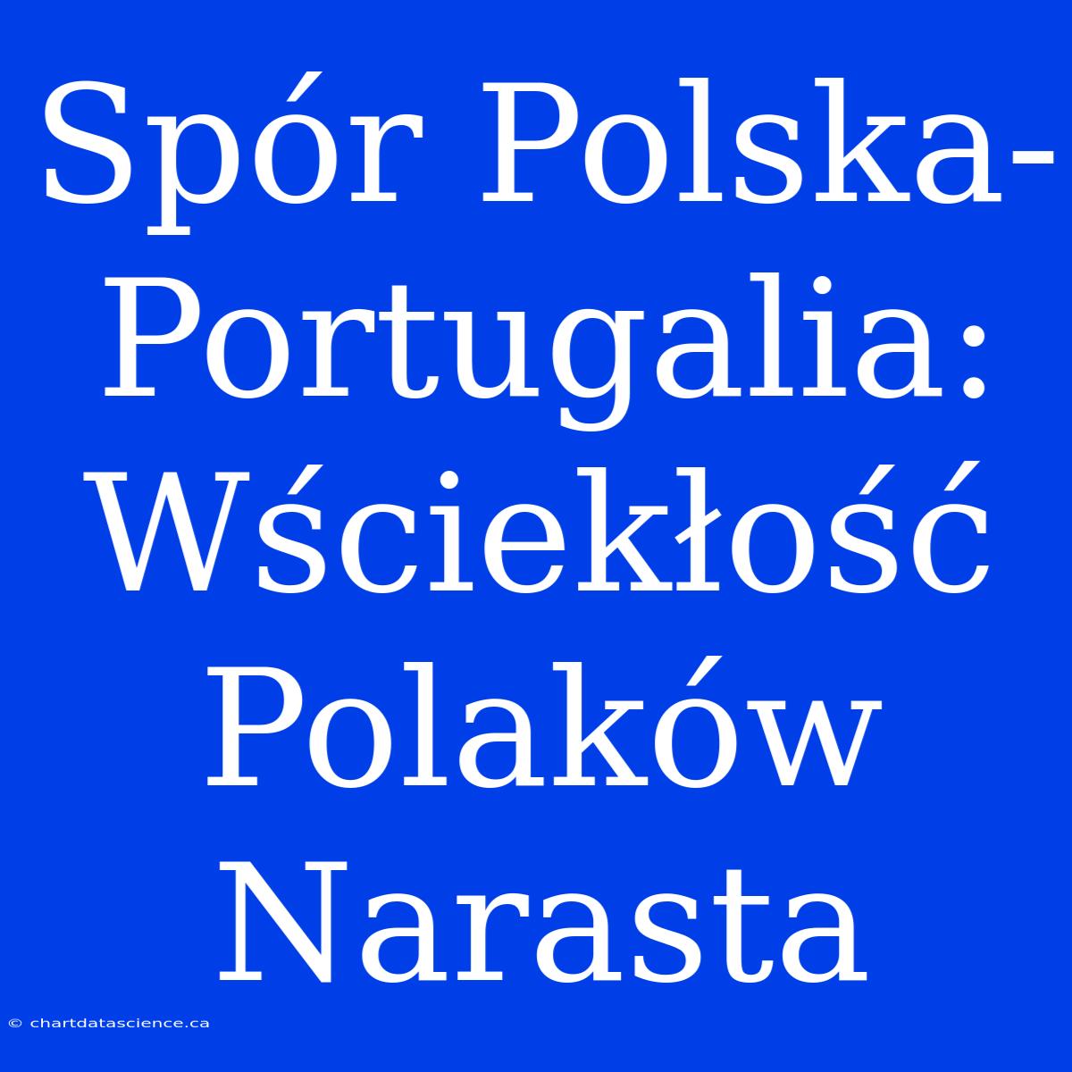 Spór Polska-Portugalia: Wściekłość Polaków Narasta