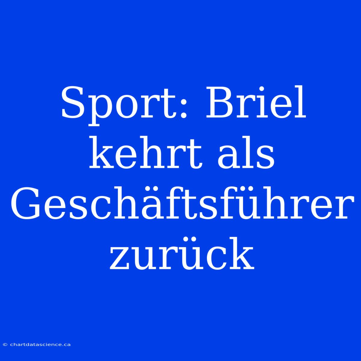 Sport: Briel Kehrt Als Geschäftsführer Zurück