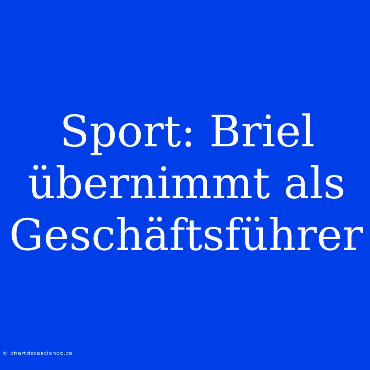 Sport: Briel Übernimmt Als Geschäftsführer