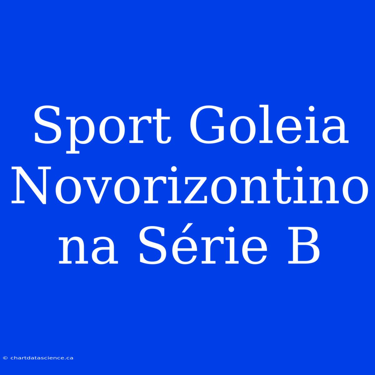 Sport Goleia Novorizontino Na Série B