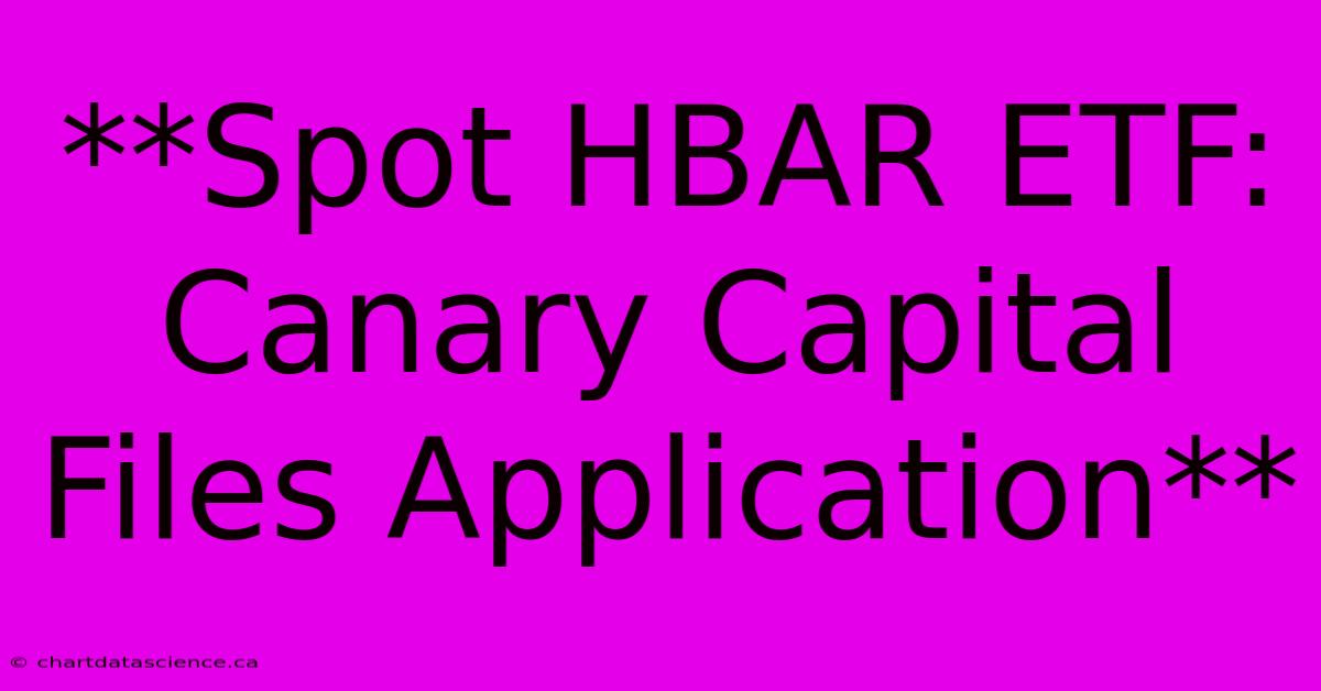 **Spot HBAR ETF: Canary Capital Files Application**