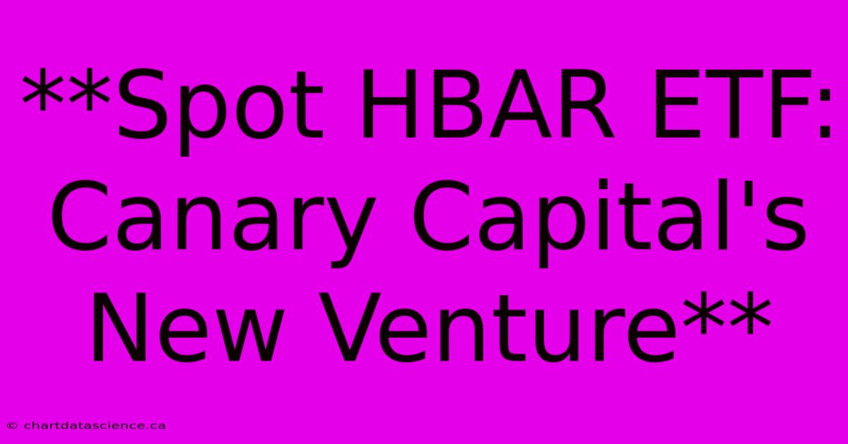 **Spot HBAR ETF: Canary Capital's New Venture**