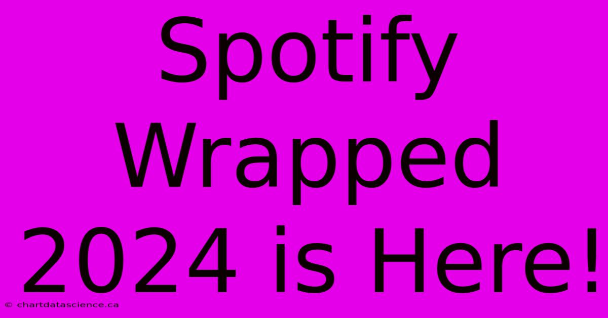 Spotify Wrapped 2024 Is Here!